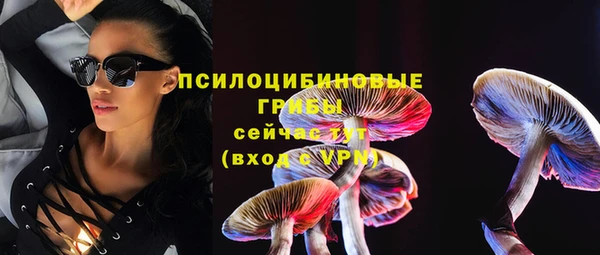 ГАЛЛЮЦИНОГЕННЫЕ ГРИБЫ Нефтегорск
