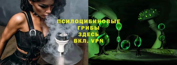 ГАЛЛЮЦИНОГЕННЫЕ ГРИБЫ Нефтегорск