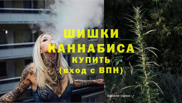 сатива Балахна