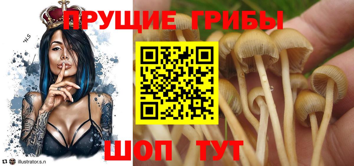 Псилоцибиновые грибы ЛСД  Вход с VPN  Псилоцибиновые грибы прущие грибы  Балабаново 
