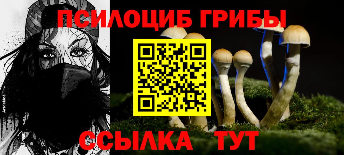 Псилоцибиновые грибы прущие грибы Балабаново