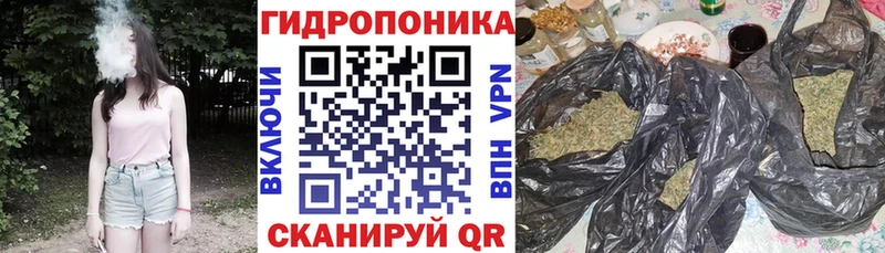 Марихуана конопля  Балабаново 